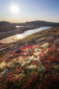 Scenic view of beach against sky during sunset