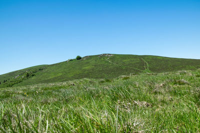 View from the puy pariou volcano hiking trail