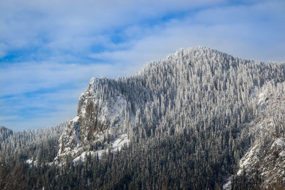 Low angle view of snowcapped mountain against sky