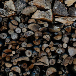 Full frame shot of logs