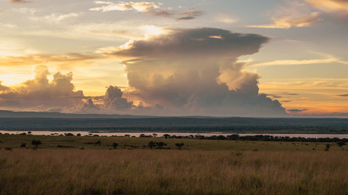 Vibrant hues and billowing clouds over the ugandan savanna during sunset. ideal for nature projects.