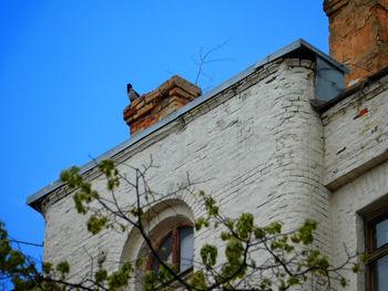 Low angle view of bird perching on building against sky
