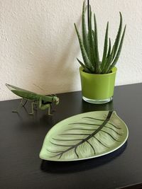 Close-up of potted plant on table at home