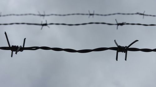 Close-up of barbed wire