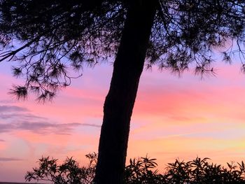 Silhouette tree against sky during sunset