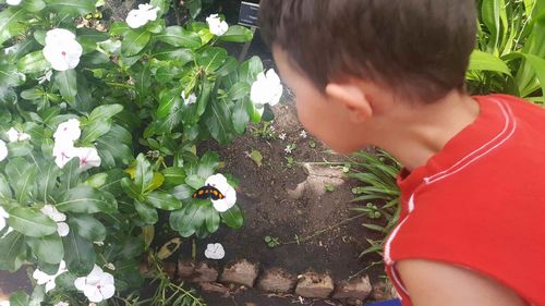 Rear view of boy and white flowering plants