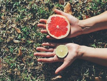 Cropped hands of woman with citrus fruits over grass
