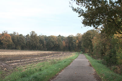 Road amidst trees on field against sky