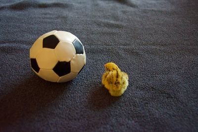 High angle view of soccer ball on table