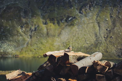 Stack of logs against mountain