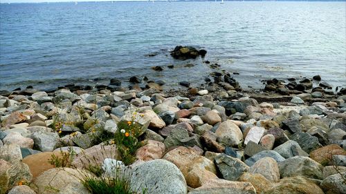 Pebbles on beach