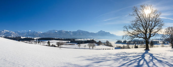 Panoramic landscape at winter in bavaria, germany