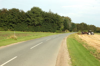 Empty road in forest