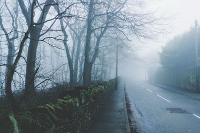 Road amidst trees in forest during winter