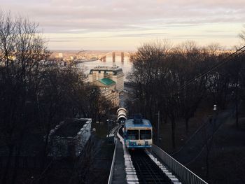 Tram moving amidst bare trees in city against sky