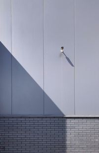 Bird on wall