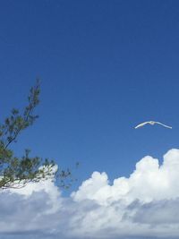 Low angle view of vapor trail against clear blue sky