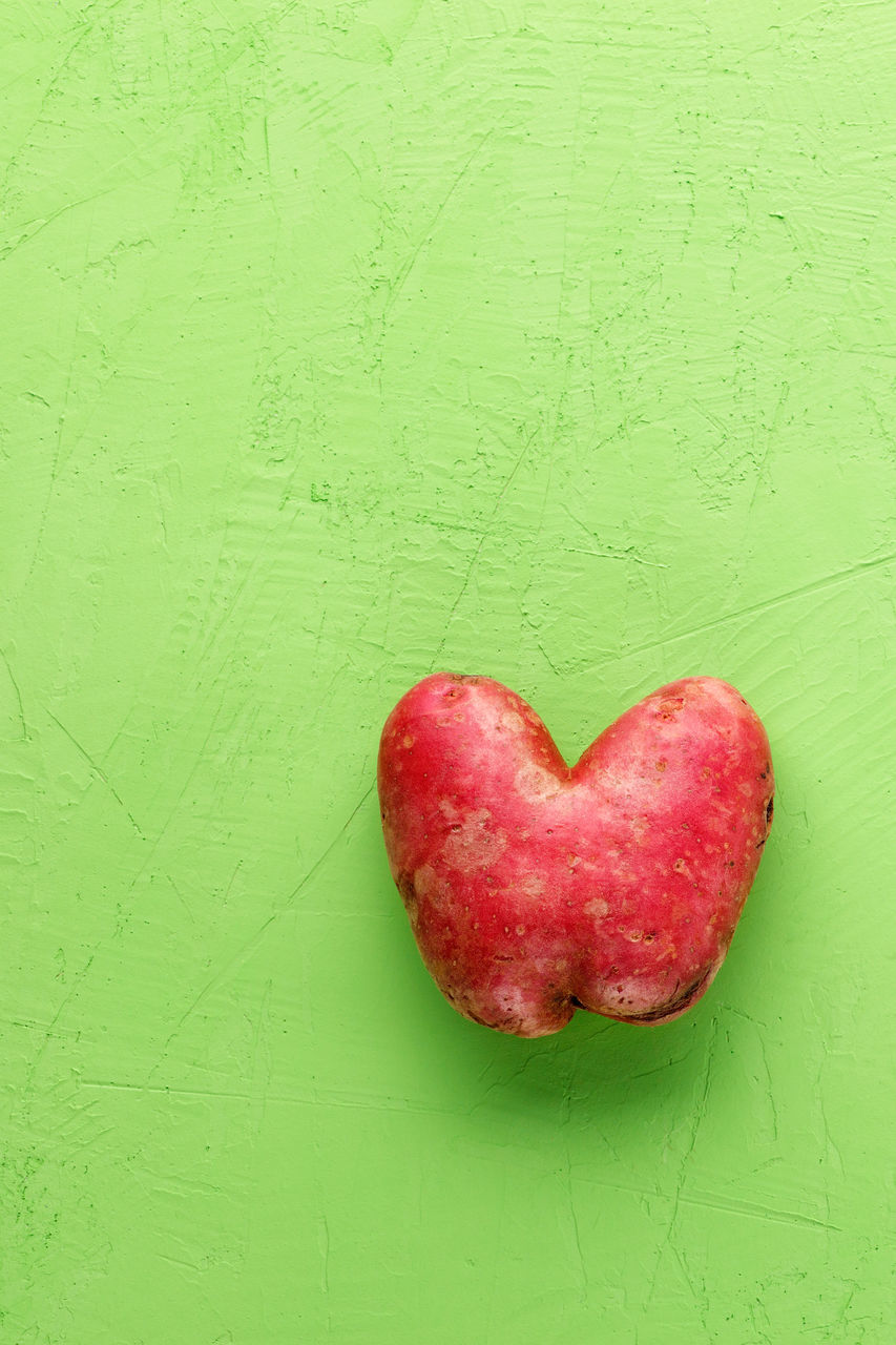 CLOSE-UP OF RED HEART SHAPE MADE OF APPLE ON GREEN LEAF