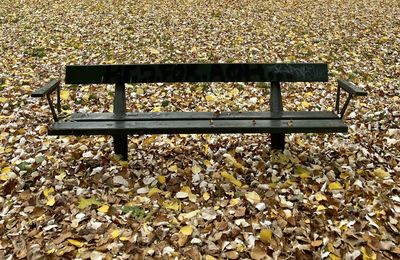 High angle view of empty bench in park during autumn