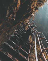 Low angle view of photographer standing on steps by mountain