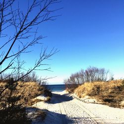 Scenic view of beach against clear sky