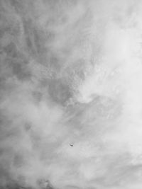 Low angle view of bird flying in sky