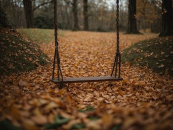 Close-up of swing at park