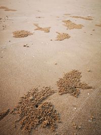 Close-up of sand at beach