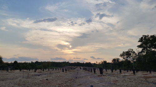 Scenic view of field against sky during sunset