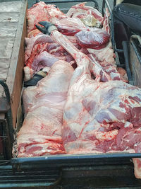 High angle view of fish for sale at market