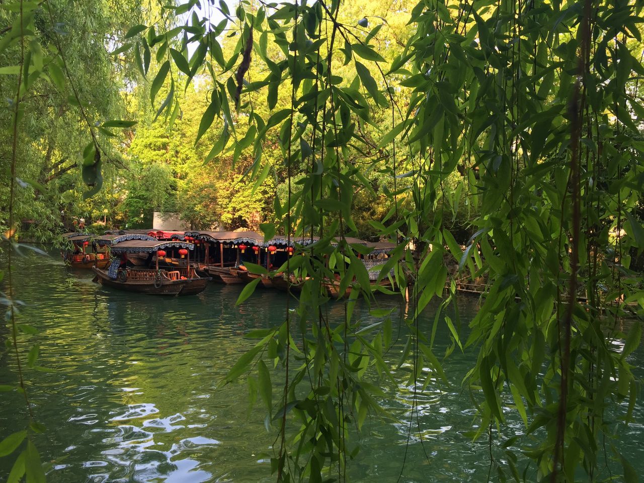 SCENIC VIEW OF LAKE WITH TREES IN BACKGROUND