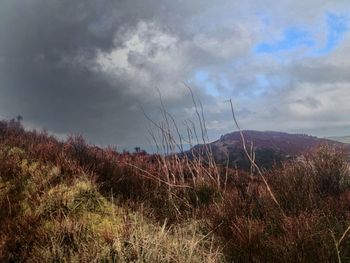 Scenic view of landscape against cloudy sky