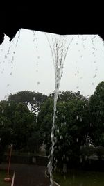 Wet trees against sky during rainy season