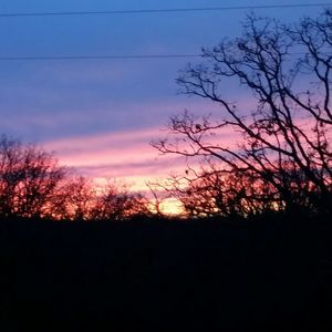 Silhouette bare trees against sky during sunset