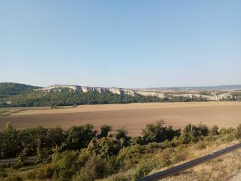 Scenic view of agricultural field against clear sky