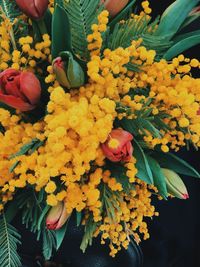 Close-up of marigold flowers