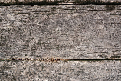 Full frame shot of weathered wall