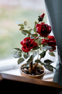 Close-up of red roses in vase on table
