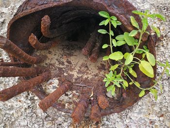 High angle view of old rusty metal