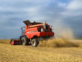 Red combine harvesting wheat during summer
