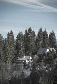 House and trees against sky