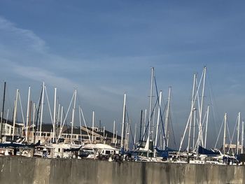 Sailboats in harbor
