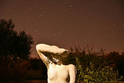 Statue on tree against sky at night