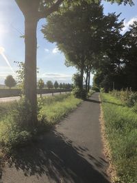 Empty road amidst trees on field