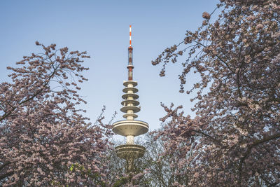 Germany, hamburg, heinrich hertz tower with blooming cherry blossoms in foreground