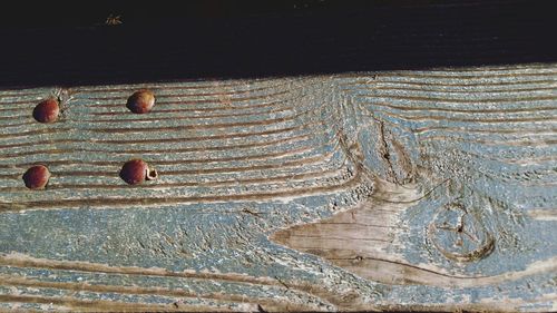 Full frame shot of wood