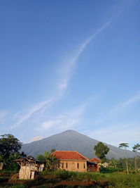 Houses and trees against blue sky