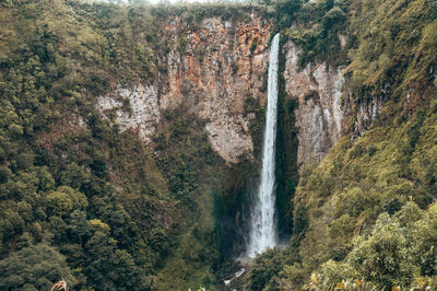 Scenic view of waterfall in forest