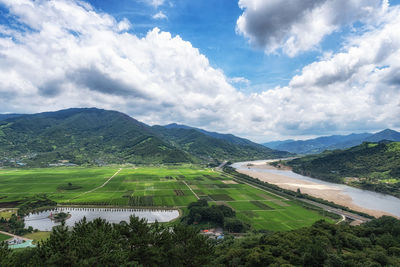 The view of seomjingang river and rice paddies with couple pine trees in hadong, south korea. 