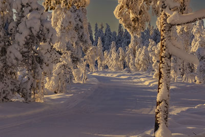 Snow covered landscape against clear sky during sunrise near a ski resort in ludvika sweden